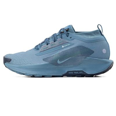 Nike Pegasus Gore-Tex Trail 5 Gtx Blue