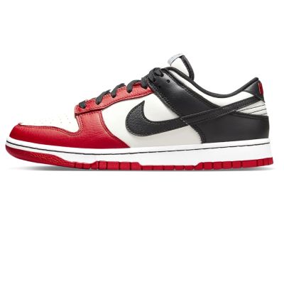 Nike Dunk Anniversary Chicago 75