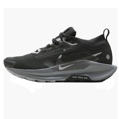 Nike Pegasus Trail 5 Gtx Black/Grey