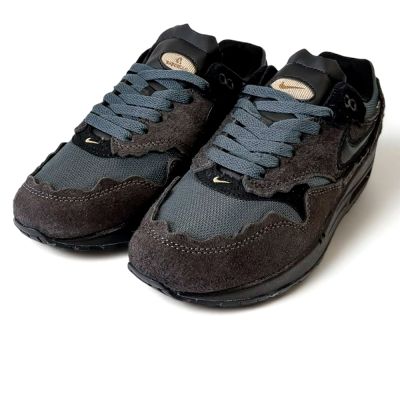 Nike Air Max (1 90 95 97 Tl Sndr )    1 Protection Pack Blackberry