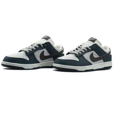 Nike Dunk Sb Low Blue Beige Brown