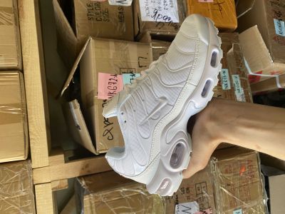 Nike Air Max TN Plus White