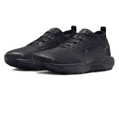 Nike Pegasus Gore-Tex Trail 5 Gtx Black