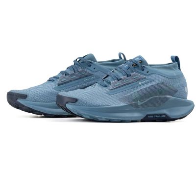 Nike Pegasus Gore-Tex Trail 5 Gtx Blue