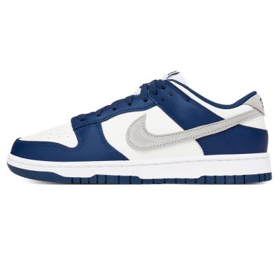 Nike Dunk Sb Low Blue Grey