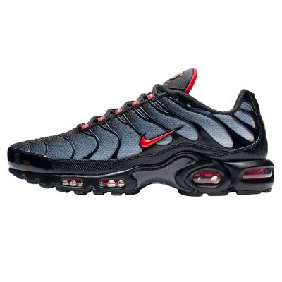 Nike Air Max Tn Plus . 1544
