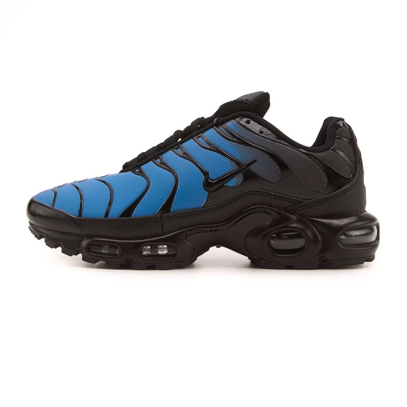 Nike Air Max TN Plus Chameleon Blue