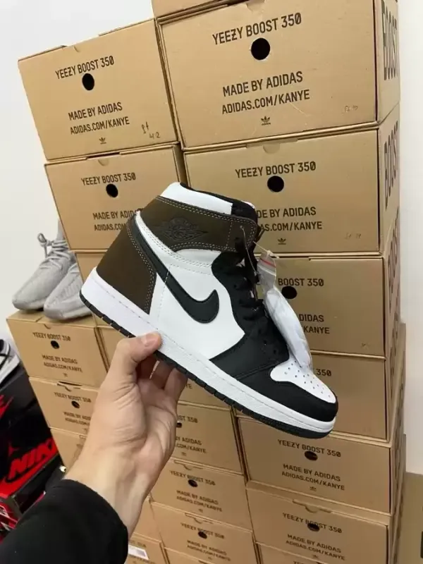 Nike Air Max 1 Jordan Mid Dark Mocha +